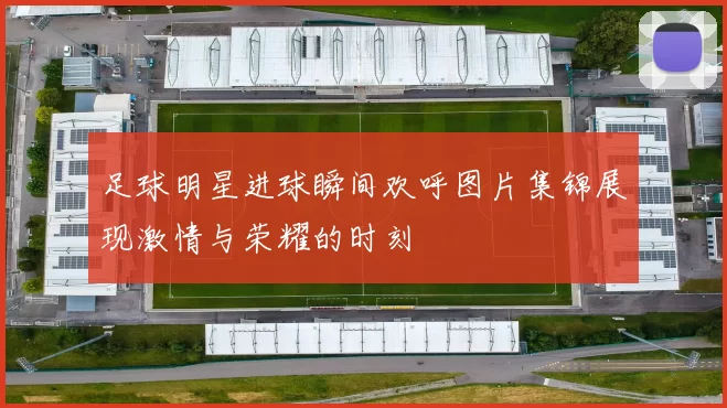 足球明星进球瞬间欢呼图片集锦展现激情与荣耀的时刻