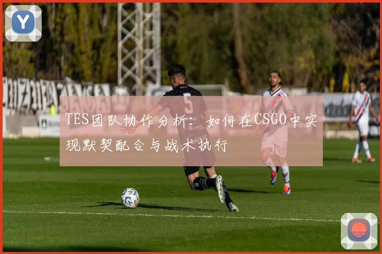 TES团队协作分析：如何在CSGO中实现默契配合与战术执行