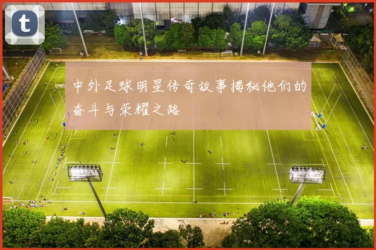 中外足球明星传奇故事揭秘他们的奋斗与荣耀之路