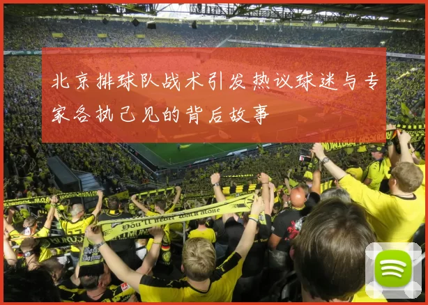 北京排球队战术引发热议球迷与专家各执己见的背后故事