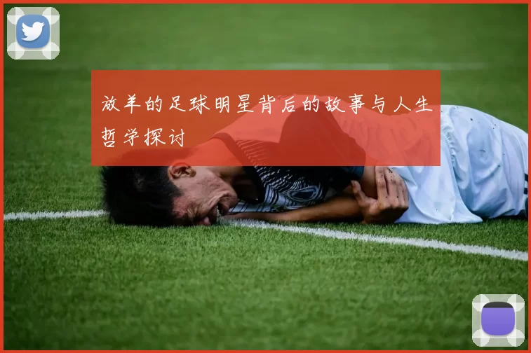 放羊的足球明星背后的故事与人生哲学探讨