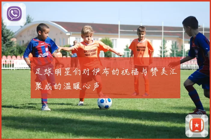 足球明星们对伊布的祝福与赞美汇聚成的温暖心声