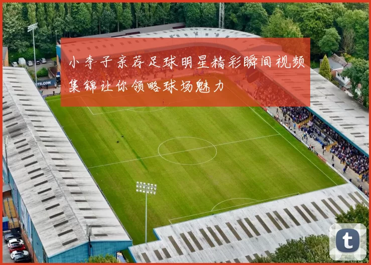 小李子亲荐足球明星精彩瞬间视频集锦让你领略球场魅力