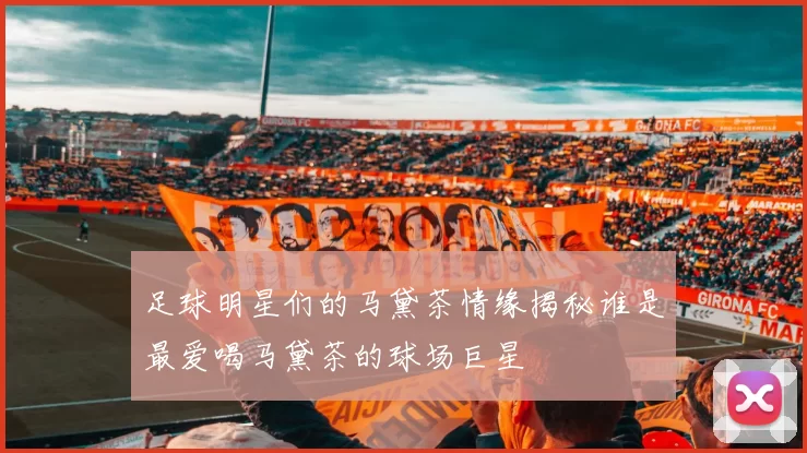 足球明星们的马黛茶情缘揭秘谁是最爱喝马黛茶的球场巨星