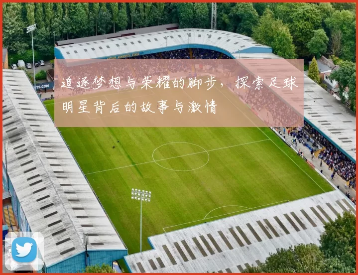 追逐梦想与荣耀的脚步，探索足球明星背后的故事与激情