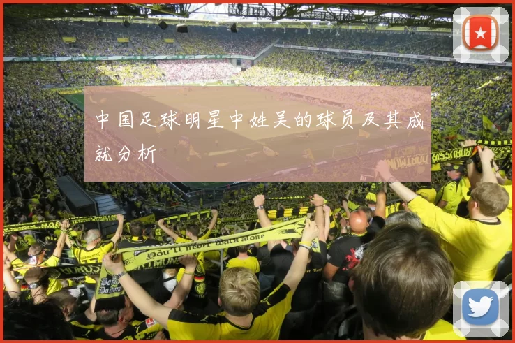 中国足球明星中姓吴的球员及其成就分析