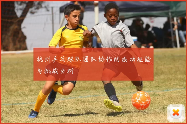 杭州乒乓球队团队协作的成功经验与挑战分析