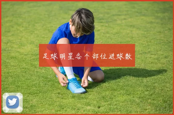足球明星各个部位进球数