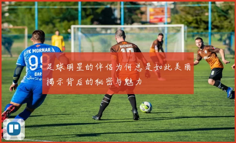 足球明星的伴侣为何总是如此美丽揭示背后的秘密与魅力