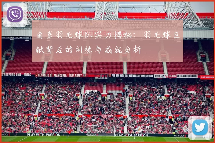 南京羽毛球队实力揭秘：羽毛球巨献背后的训练与成就分析