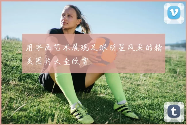 用字画艺术展现足球明星风采的精美图片大全欣赏