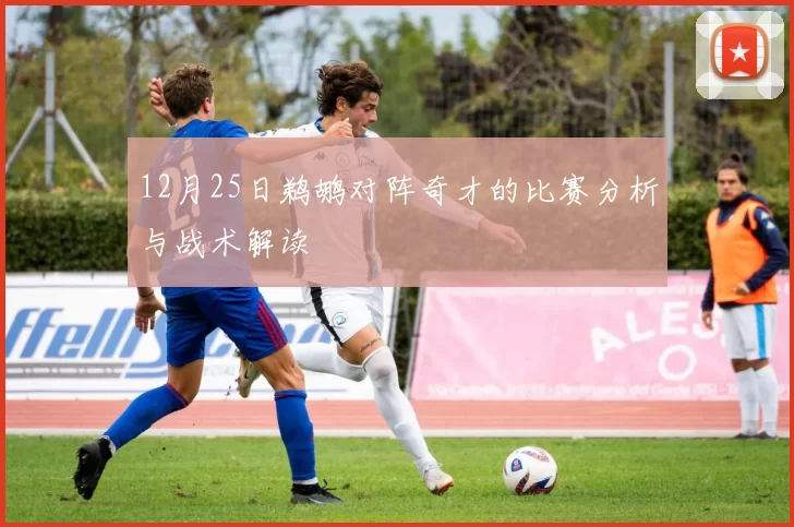12月25日鹈鹕对阵奇才的比赛分析与战术解读