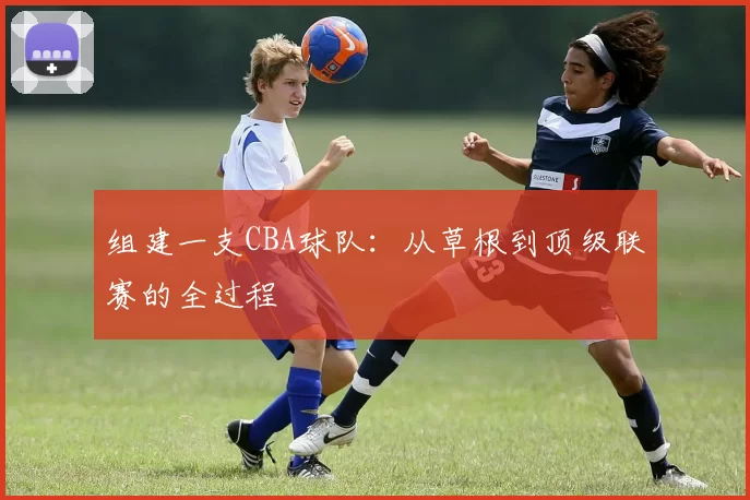 组建一支CBA球队：从草根到顶级联赛的全过程