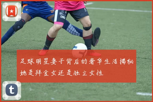 足球明星妻子背后的奢华生活揭秘她是拜金女还是独立女性