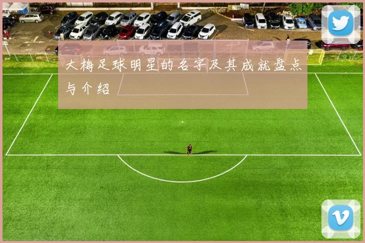 大梅足球明星的名字及其成就盘点与介绍