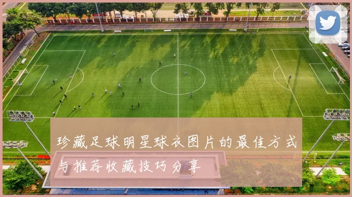 珍藏足球明星球衣图片的最佳方式与推荐收藏技巧分享