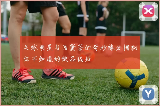 足球明星与马黛茶的奇妙缘分揭秘你不知道的饮品偏好