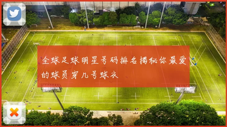 全球足球明星号码排名揭秘你最爱的球员穿几号球衣