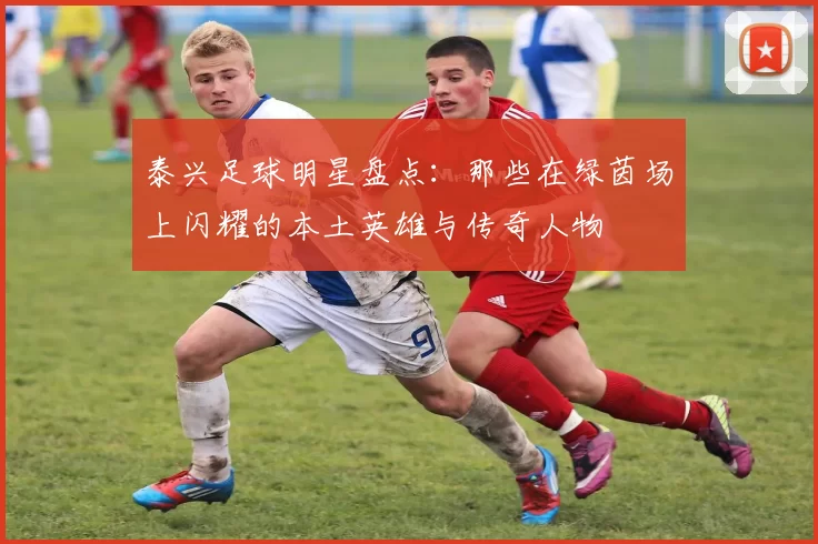 泰兴足球明星盘点：那些在绿茵场上闪耀的本土英雄与传奇人物